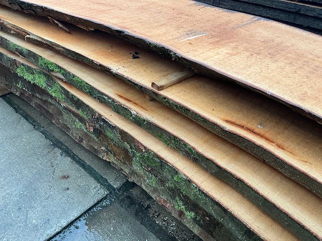 Esdoorn (0,278 m3) - afbeelding 8 van  11