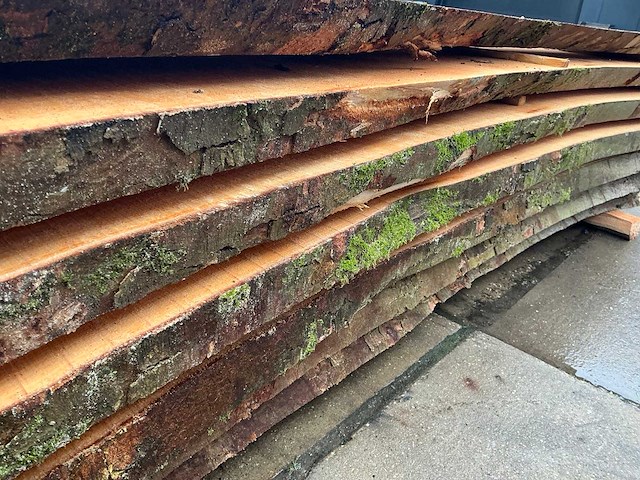 Esdoorn (0,278 m3) - afbeelding 9 van  11