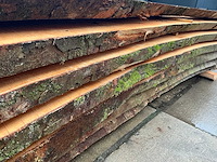 Esdoorn (0,278 m3) - afbeelding 9 van  11