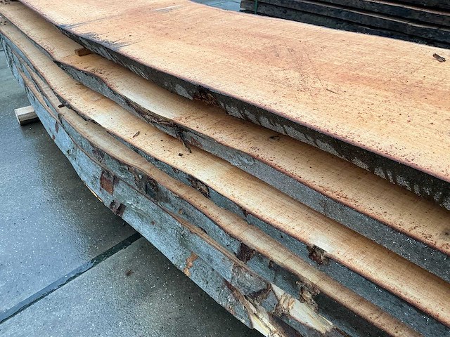 Esdoorn (0,278 m3) - afbeelding 11 van  11