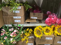 Esmerald kunstbloemen - afbeelding 6 van  9