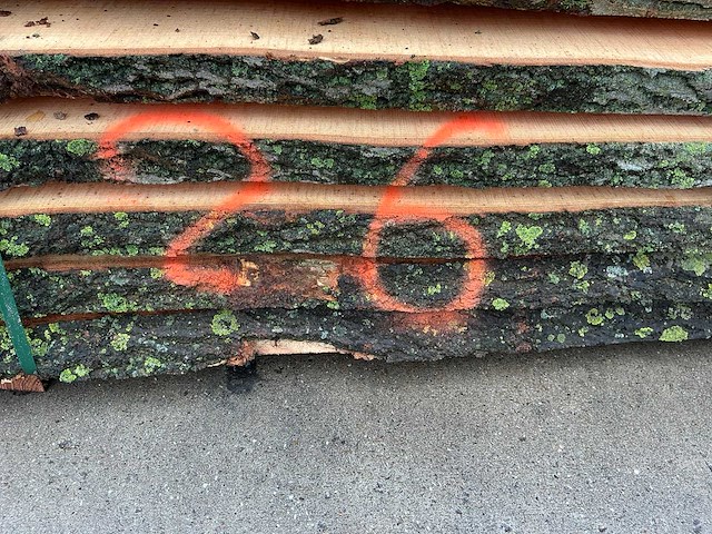 Essen (0,788 m3) - afbeelding 4 van  12