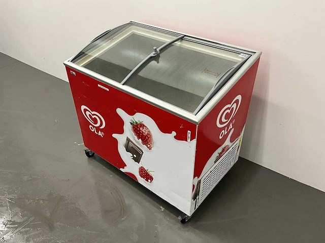 Esta - ic 300 - vrieskist - afbeelding 1 van  6