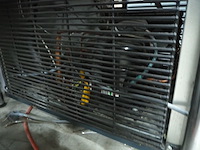 Esta - afbeelding 7 van  8