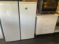 Etna vriezer - afbeelding 1 van  2