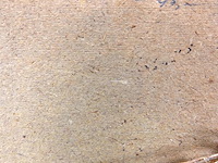 Ets raadhuis delft - afbeelding 5 van  5