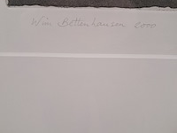 Ets, wim bettenhausen , voorjaar den haag 42/60, 2000 - afbeelding 4 van  9