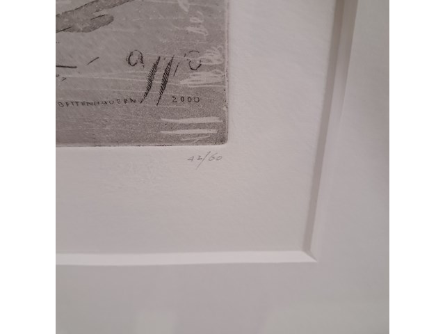 Ets, wim bettenhausen , voorjaar den haag 42/60, 2000 - afbeelding 6 van  9