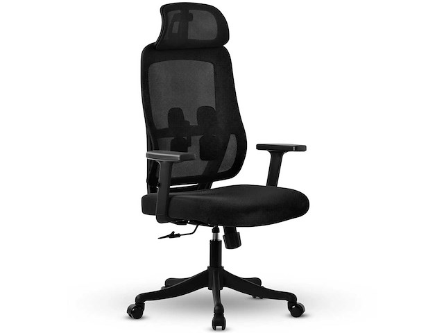 Eucladoceros - bayt ergonomische - bureaustoel - afbeelding 2 van  3