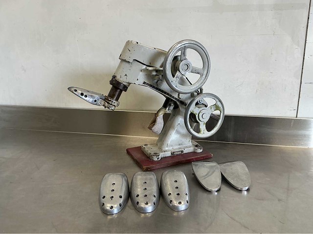 Eupedus schoenmakerspers - afbeelding 1 van  5