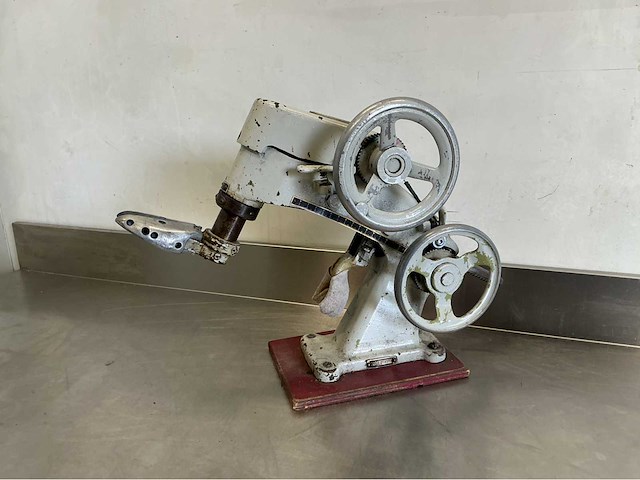 Eupedus schoenmakerspers - afbeelding 3 van  5