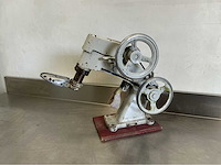 Eupedus schoenmakerspers - afbeelding 3 van  5