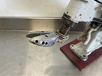 Eupedus schoenmakerspers - afbeelding 4 van  5