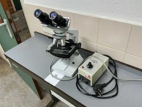 Euromex microscope - afbeelding 3 van  3