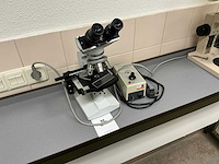 Euromex microscope - afbeelding 1 van  3