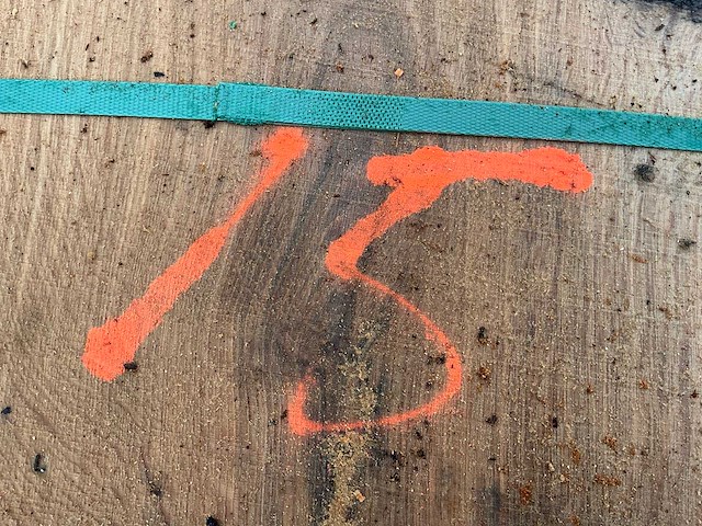 Europees eiken (0,455 m3) - afbeelding 3 van  11