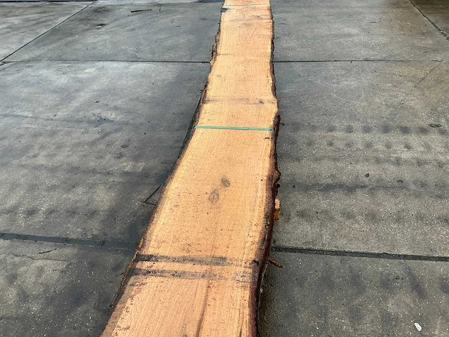 Europees eiken (0,455 m3) - afbeelding 9 van  11