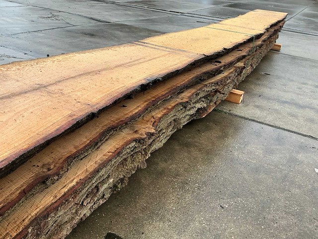 Europees eiken (0,455 m3) - afbeelding 10 van  11