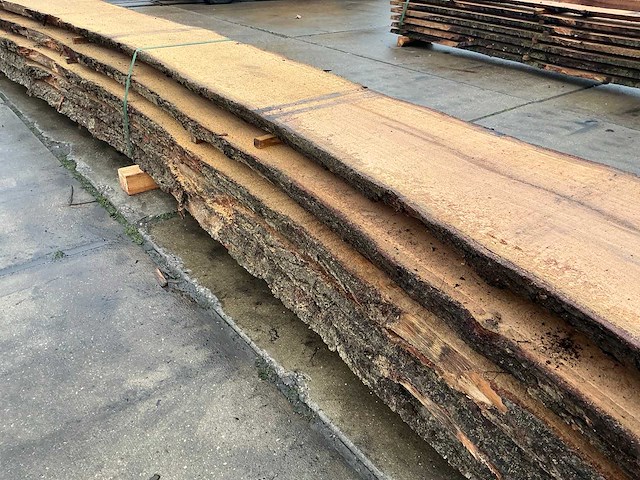 Europees eiken (0,455 m3) - afbeelding 11 van  11