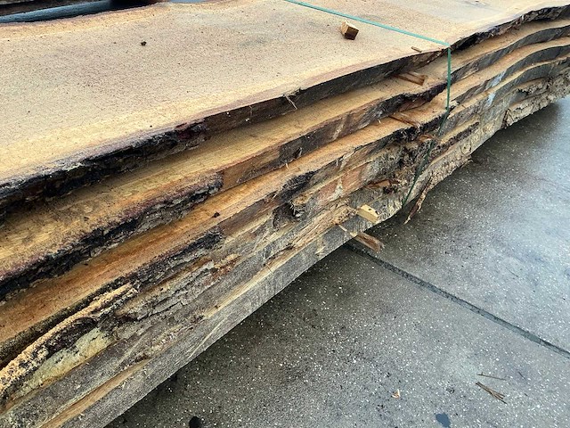 Europees eiken (0,585 m3) - afbeelding 8 van  11