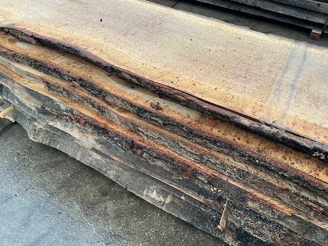 Europees eiken (0,585 m3) - afbeelding 9 van  11