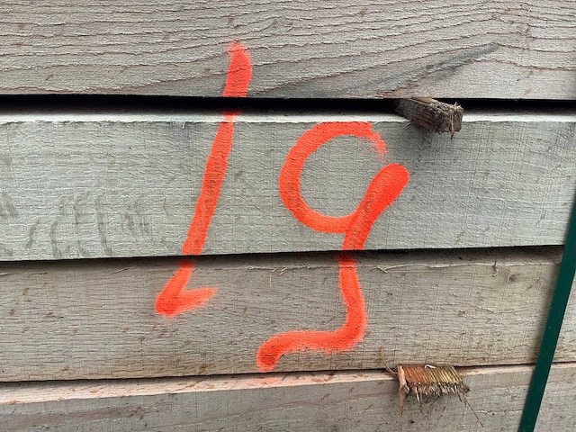 Europees eiken paal (28x) - afbeelding 3 van  11