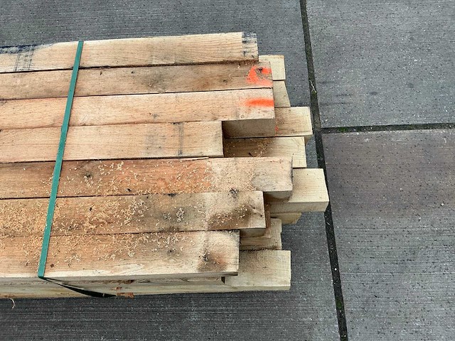 Europees eiken paal (28x) - afbeelding 4 van  11