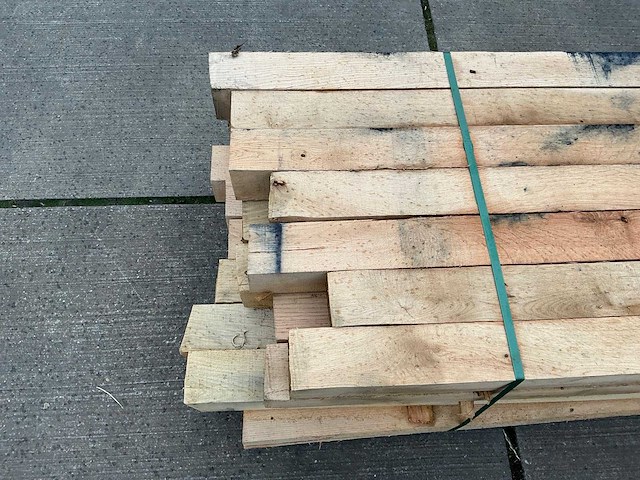 Europees eiken paal (28x) - afbeelding 9 van  11