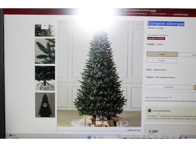 Europese zilverspar kersrtboom balsumhill nr 2801183 - afbeelding 9 van  11