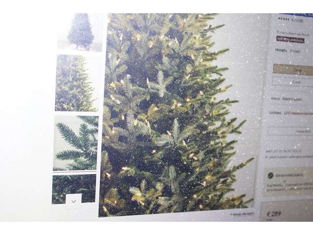 Europese zilverspar kersrtboom balsumhill nr 2801183 - afbeelding 11 van  11