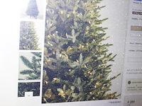 Europese zilverspar kersrtboom balsumhill nr 2801183 - afbeelding 11 van  11