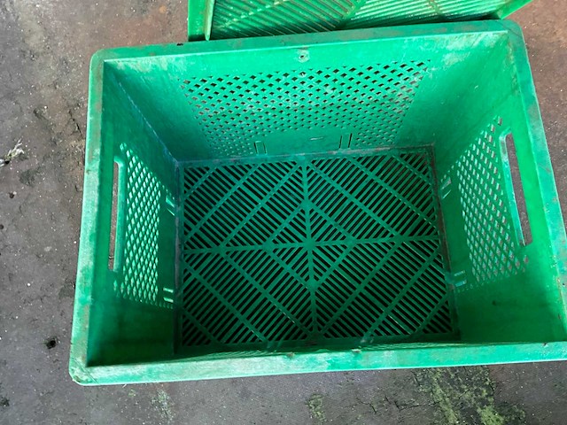 Europlast groente krat (165x) - afbeelding 3 van  7