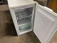 Everglades - vriezer - afbeelding 2 van  3