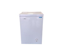 Everglades evfr523 diepvrieskist | energiezuinig - refurbished