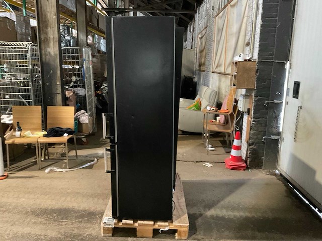 Everglades evud4049 koel- vriescombinatie (2x) - afbeelding 10 van  11