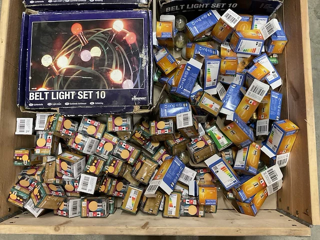 Evergreen partij lichtstringen en lichtbronnen - afbeelding 2 van  4