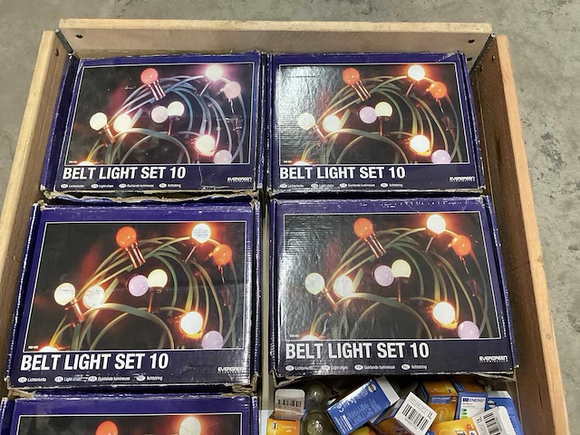 Evergreen partij lichtstringen en lichtbronnen - afbeelding 3 van  4