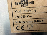 Everlasting - 250kg - scherfijsmachine - afbeelding 4 van  4
