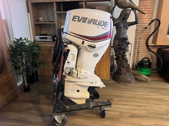 Evinrude e90dslafh e-tec buitenboordmotor - afbeelding 1 van  7