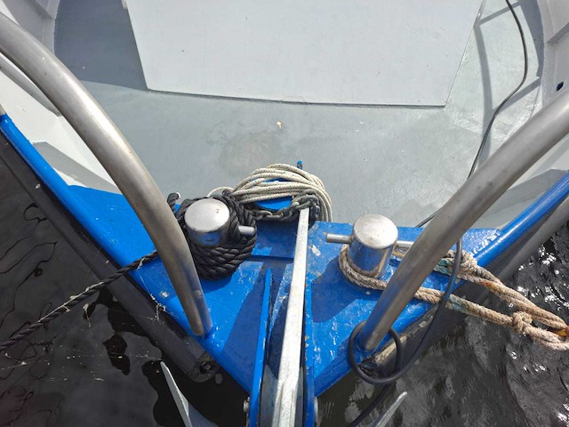 Ex beroepsmatige werkboot - afbeelding 2 van  17