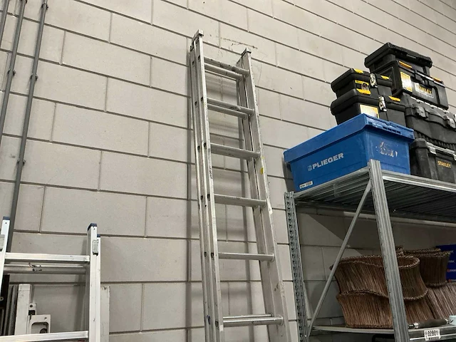 Excelsior opsteekladder 2x12 - afbeelding 1 van  4