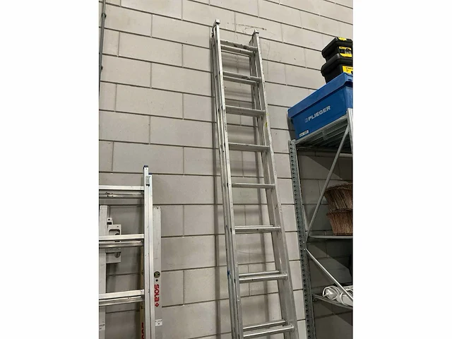 Excelsior opsteekladder 2x12 - afbeelding 2 van  4