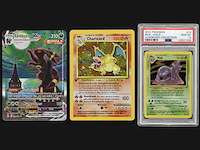 Executieveiling graded pokémon kaarten en ringen