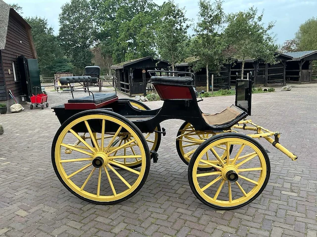 F brivet digoin phaeton rijtuig - afbeelding 14 van  18