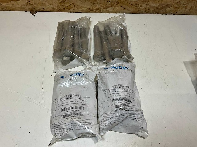 Fabory rvs 316 bouten 8x6 (20x) - afbeelding 1 van  3