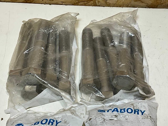 Fabory rvs 316 bouten 8x6 (20x) - afbeelding 3 van  3