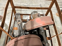 Fad geremde asstomp (2x) - afbeelding 3 van  5