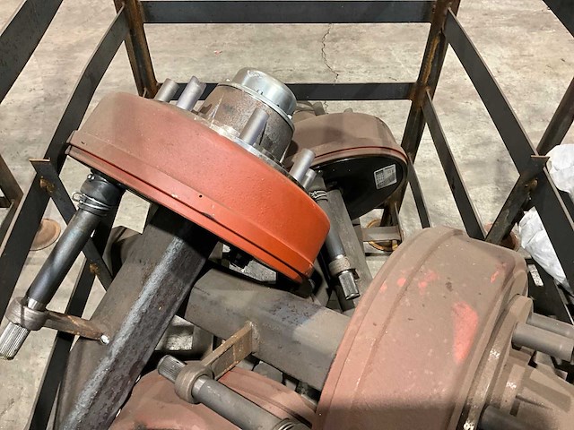 Fad geremde asstomp (4x) - afbeelding 3 van  4