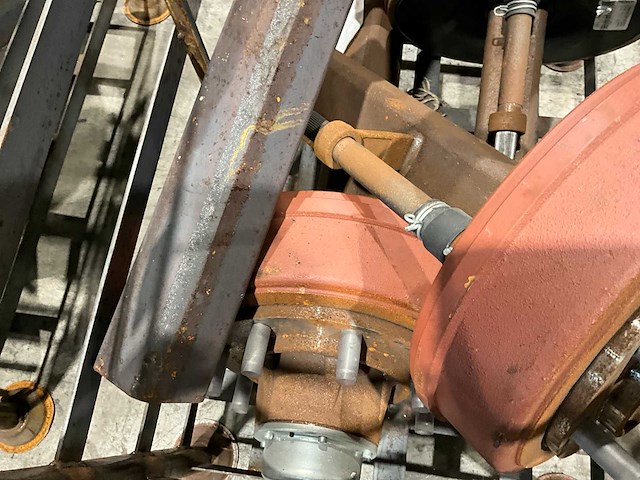 Fad geremde asstomp (4x) - afbeelding 4 van  5