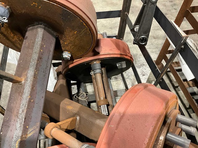 Fad geremde asstomp (4x) - afbeelding 5 van  5